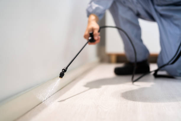 Licensed Termite Control service in Plainfield, NJ - Nex Pest Control