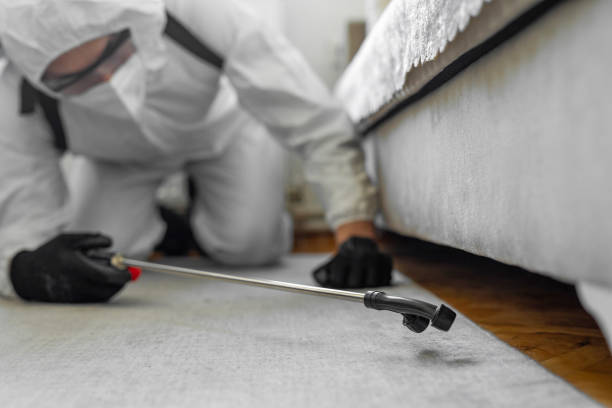 Professional Termite Control technician working in Plainfield, NJ