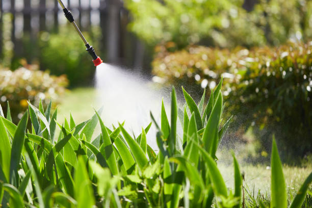 24/7 Emergency Termite Control experts in Plainfield, NJ