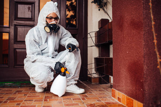 Reliable Termite Control contractor in Plainfield, NJ by Nex Pest Control
